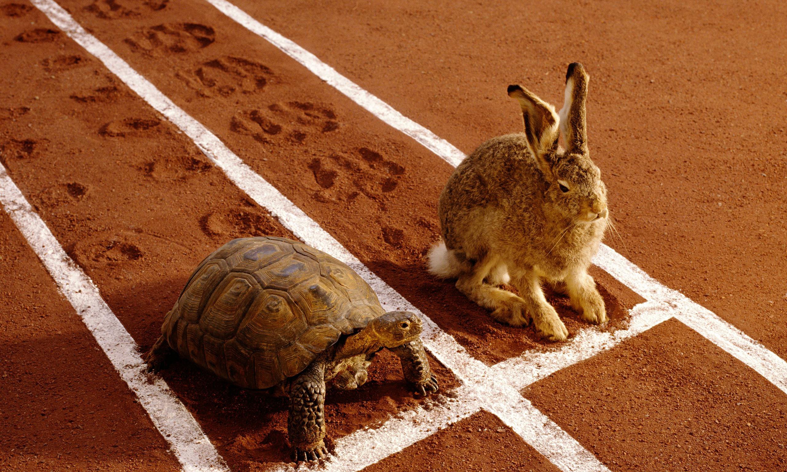 How long could the hare sleep and still win the race against the tortoise?  | by Krist Wongsuphasawat | Medium